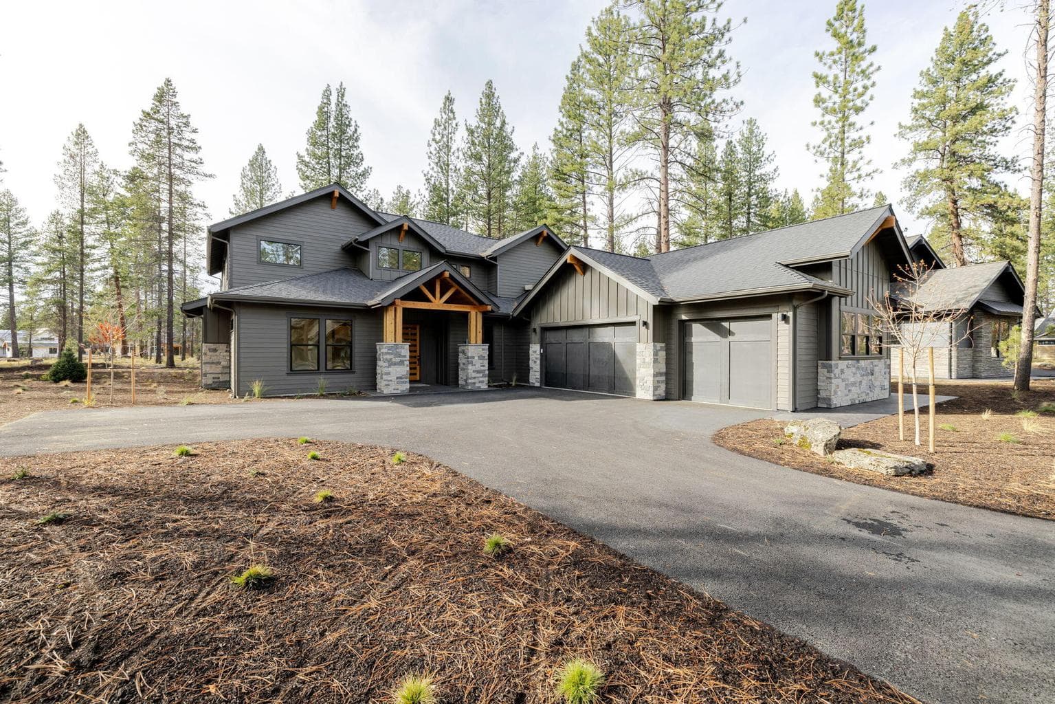 56236 Rockcress