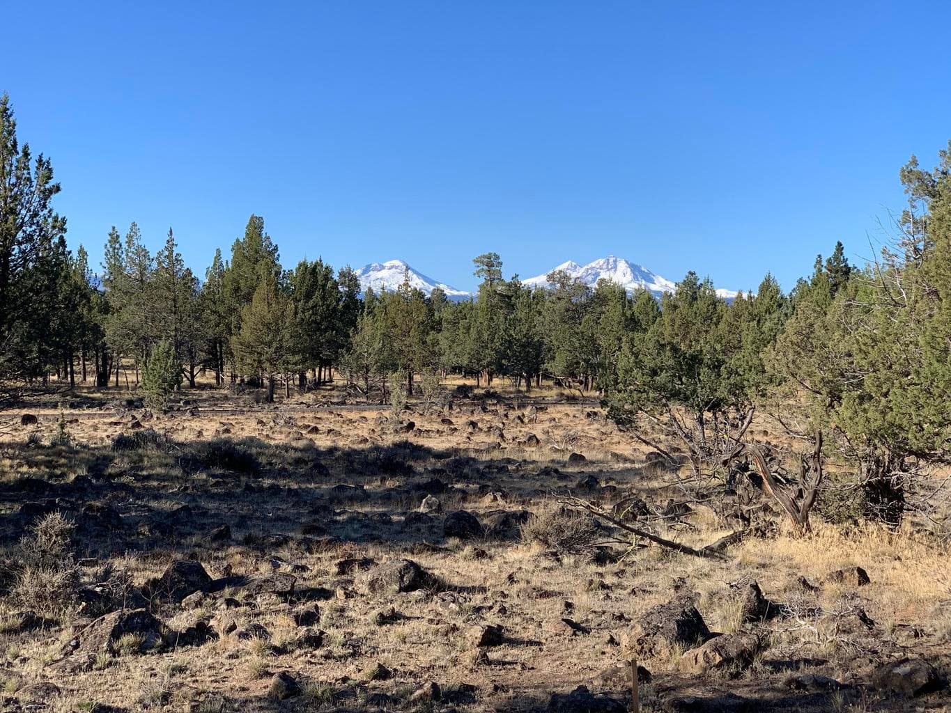 Photo of 17720 Mountain View Road 8 of 16