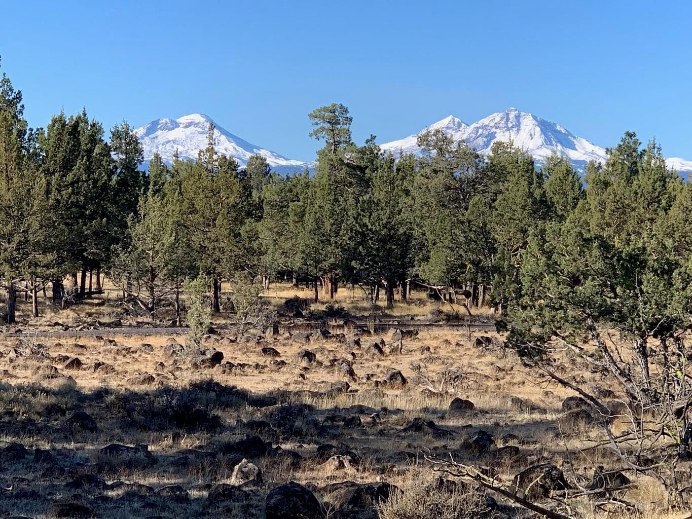 Photo of 17720 Mountain View Road 9 of 16