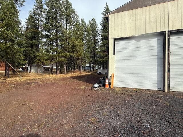Photo of 55916 Snow Goose 5 of 19