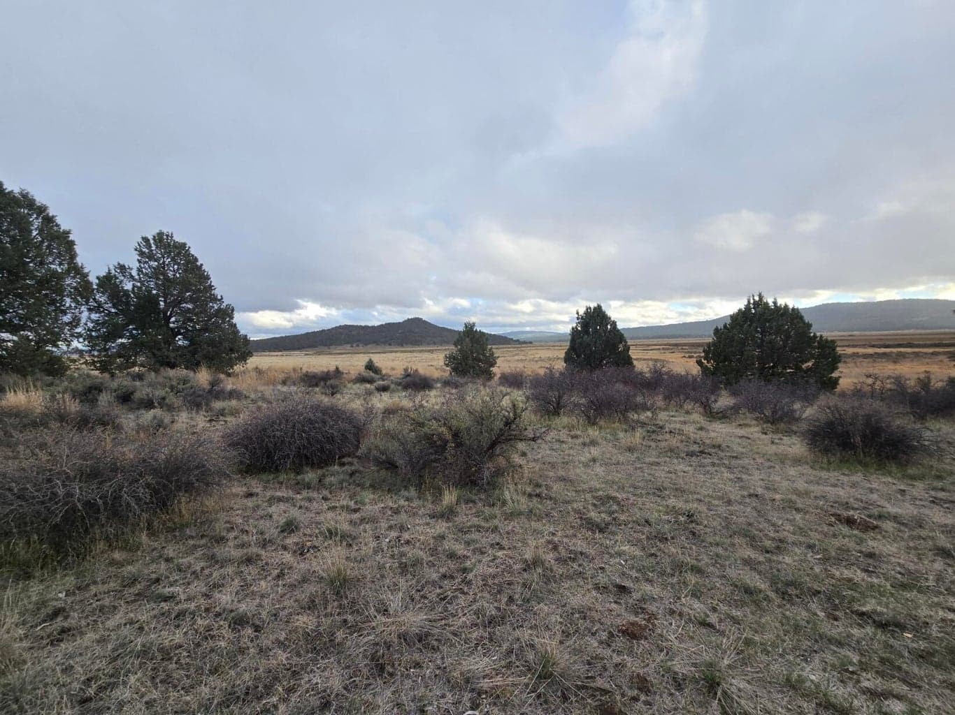 Drews, Sprague River, 97639