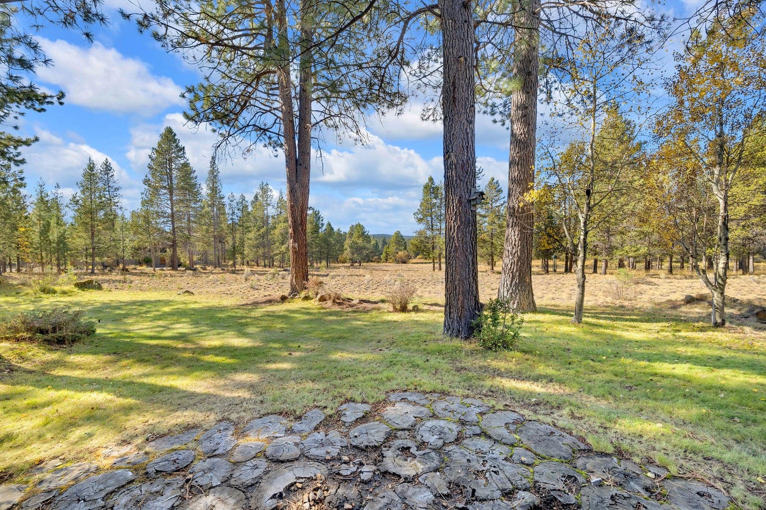 Photo of 57737 Loon Lane 55 of 61