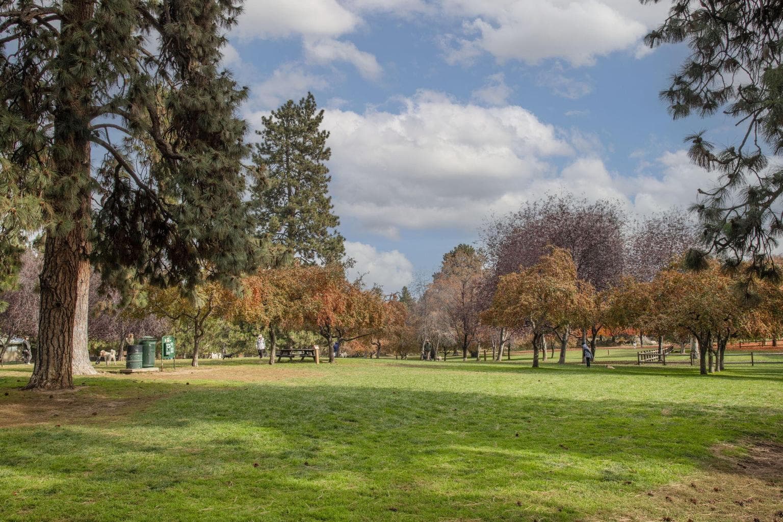 Photo of Hollinshead Park