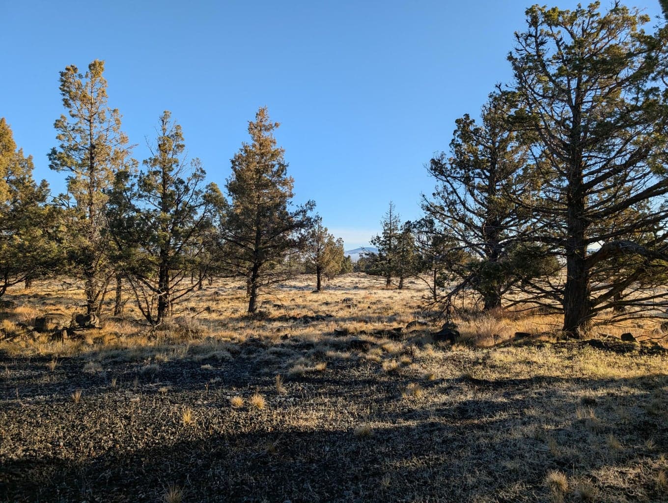 Photo of Cedar Trails 4 of 24