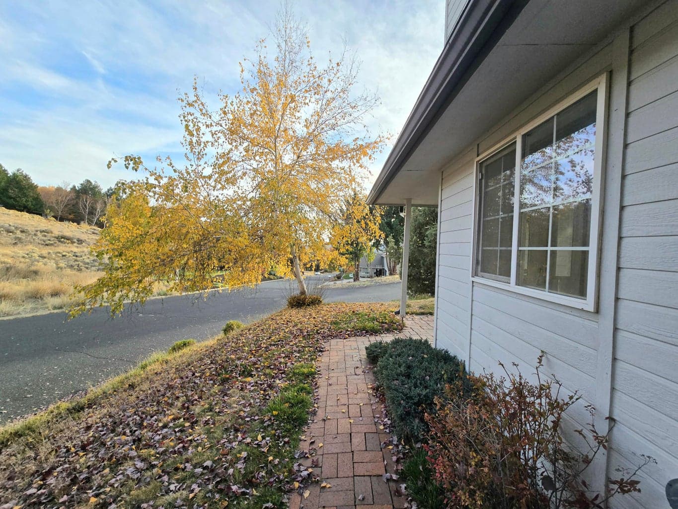Front walkway