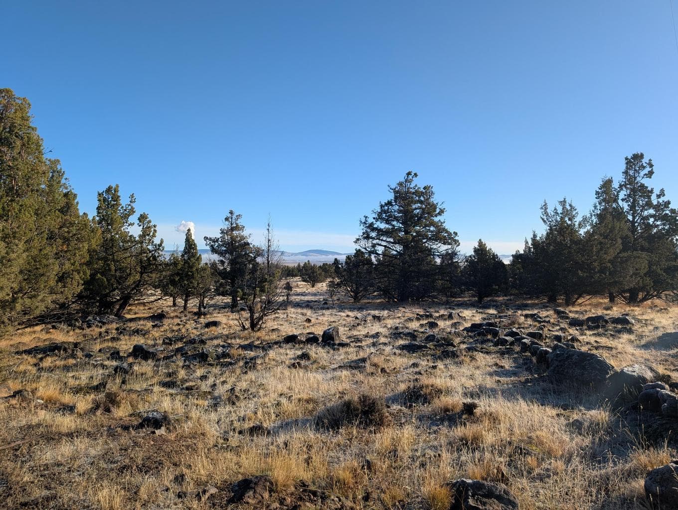 Photo of Cedar Trails 2 of 24