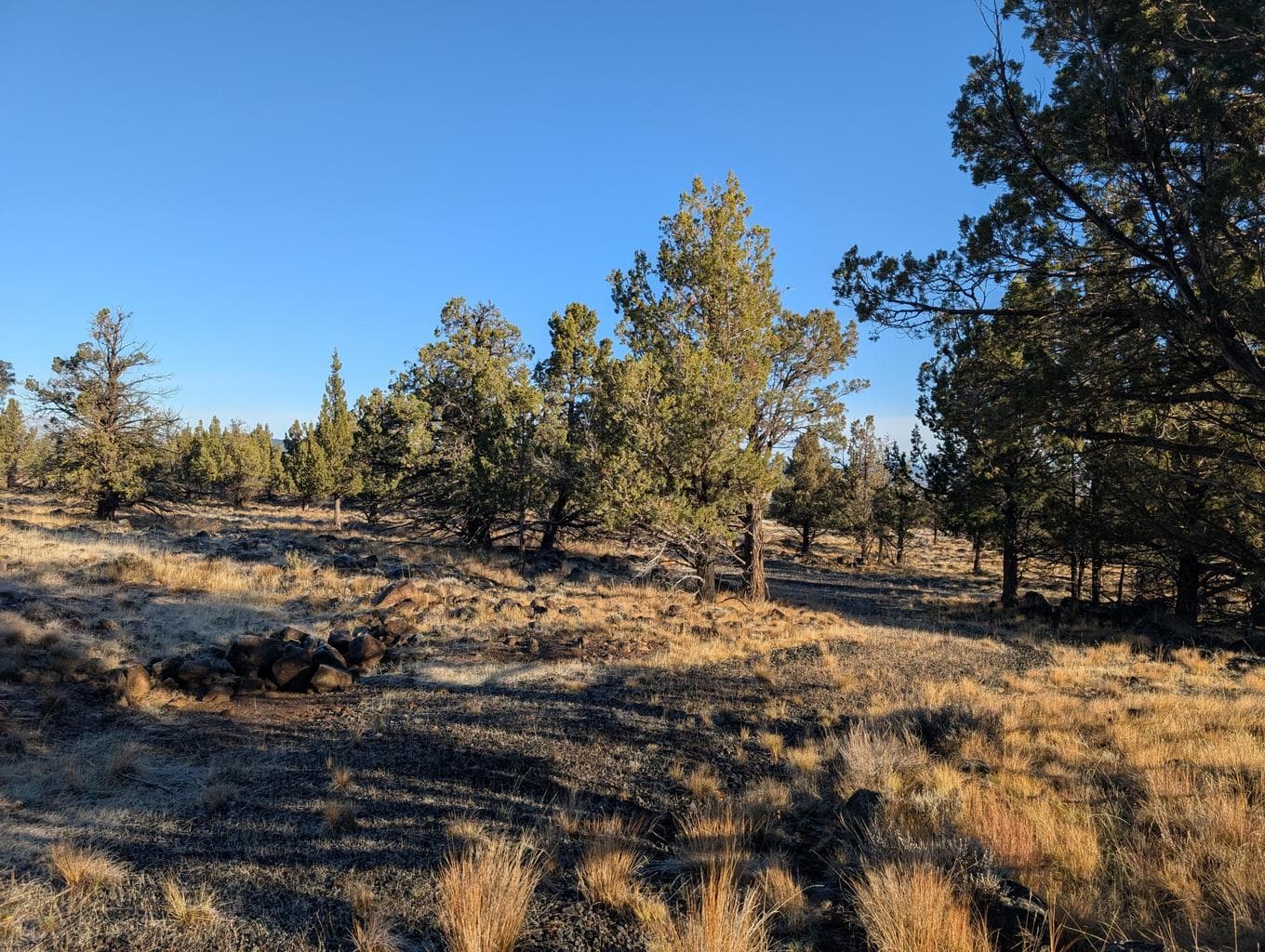 Photo of Cedar Trails 3 of 24