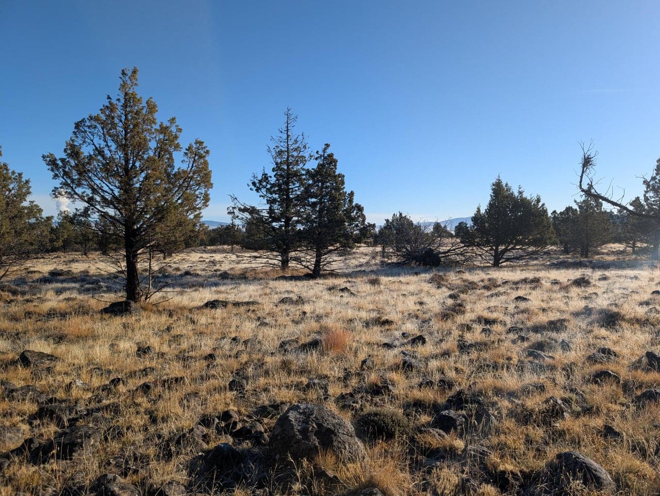 Photo of Cedar Trails 5 of 24