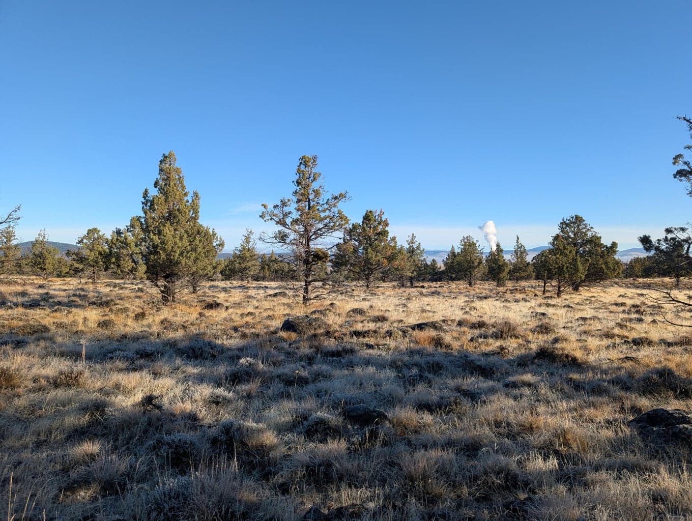 Photo of Cedar Trails 6 of 24