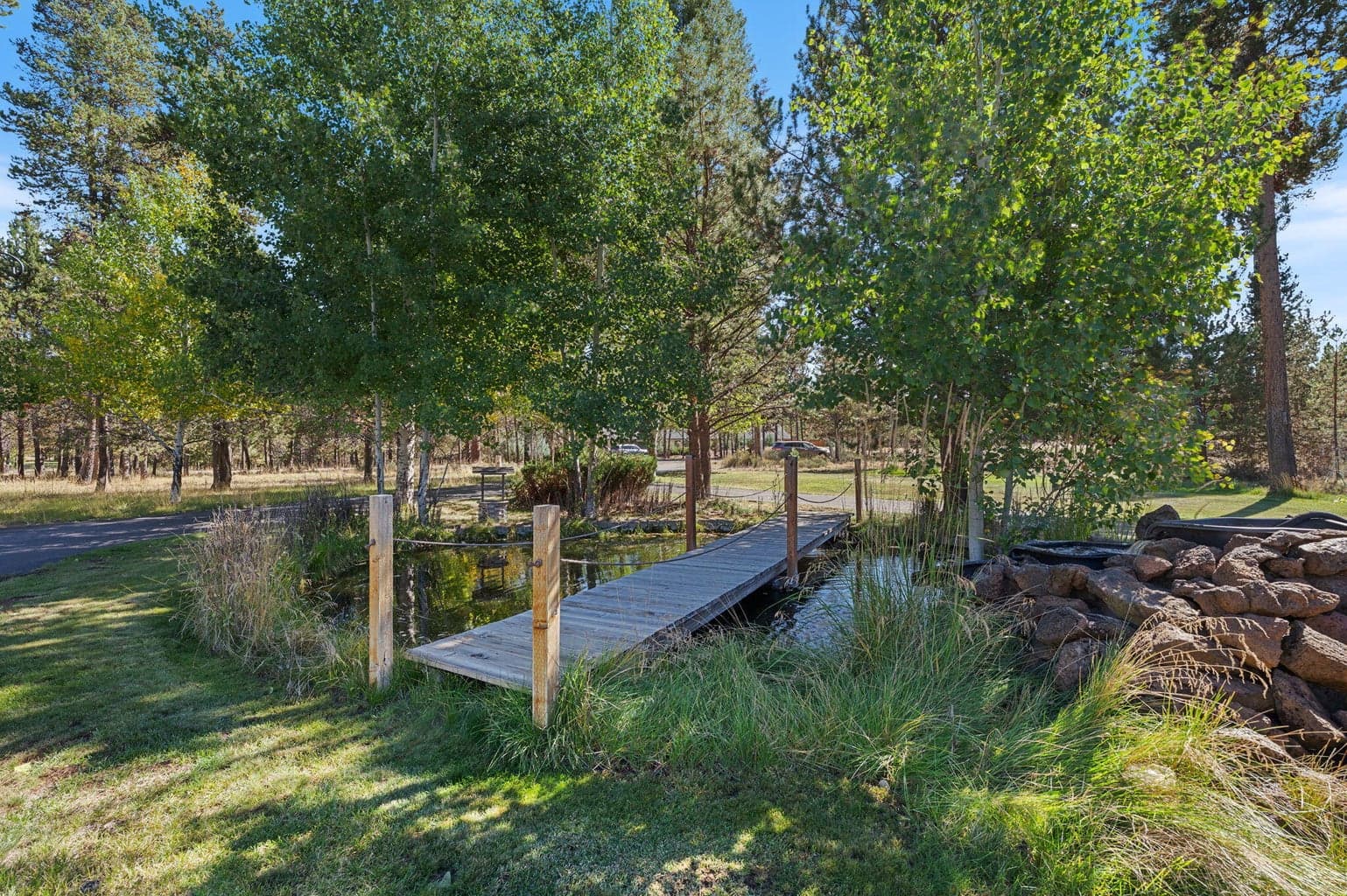 Photo of 55105 Jack Pine 5 of 85