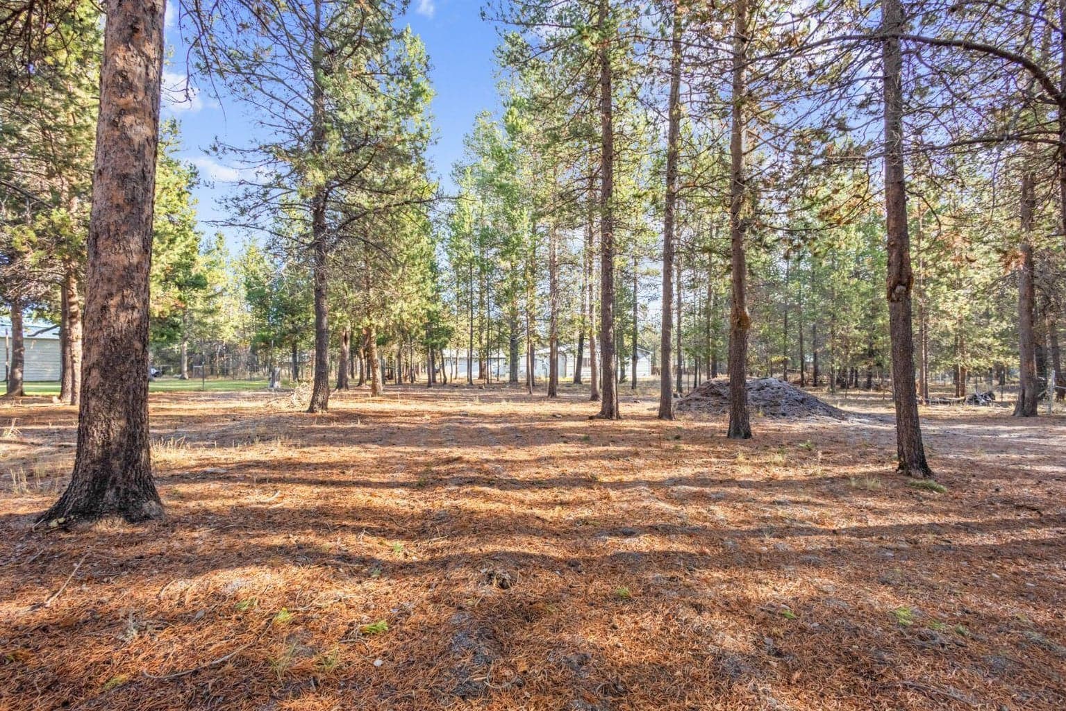 Photo of 53044 Tarry Lane 34 of 41