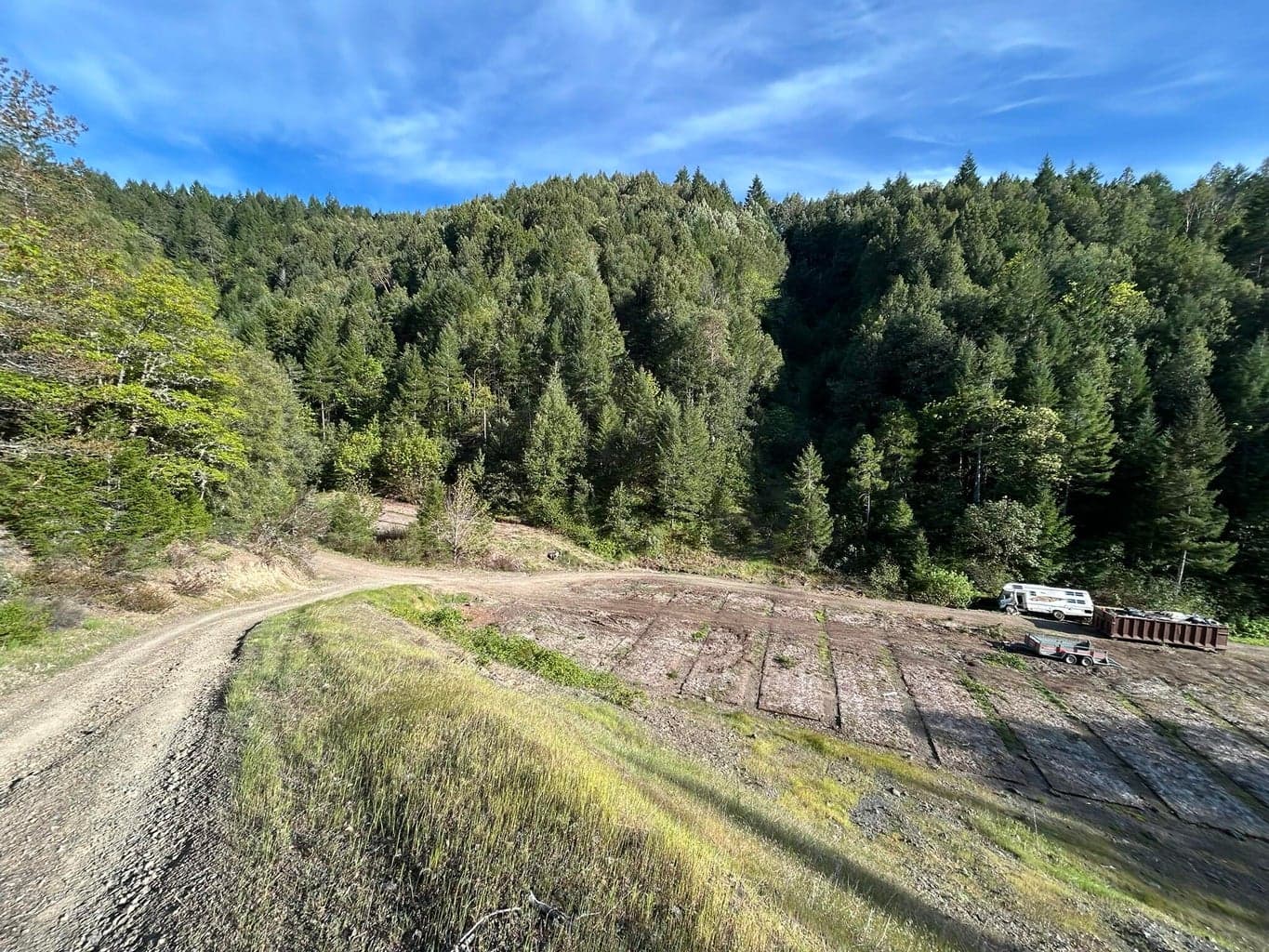 Photo of Redwood 4 of 17