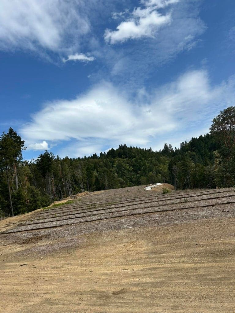 Photo of Redwood 5 of 17