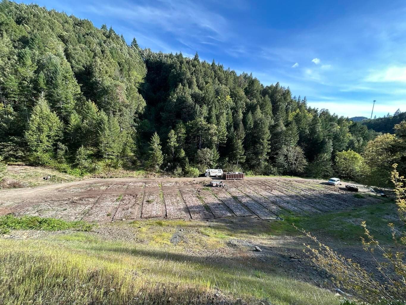 Photo of Redwood 3 of 17