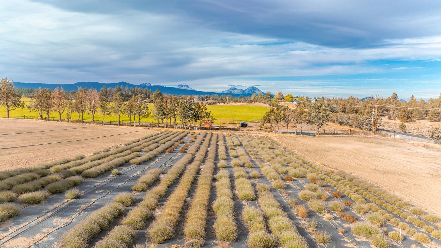 Photo of 19045 Tumalo Reservoir Road 44 of 50