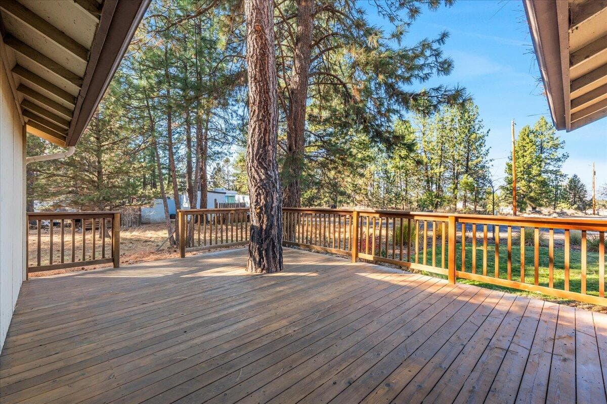 Freshly stained spacious back deck