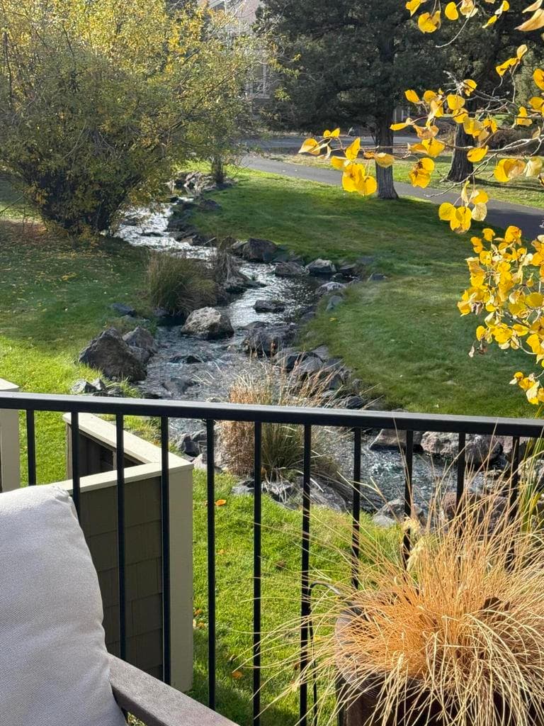 View from back deck of the creek.