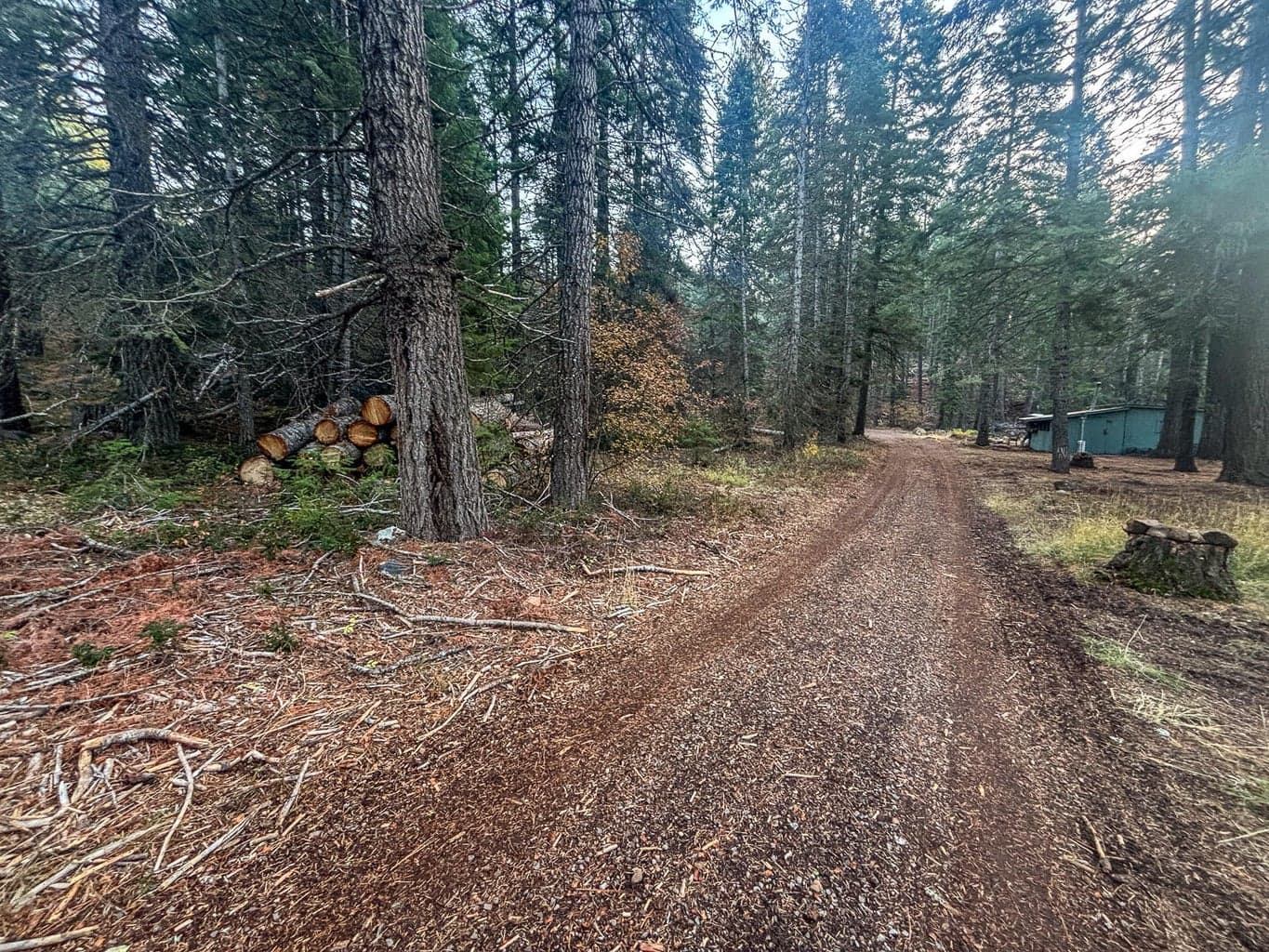 Looking down the road