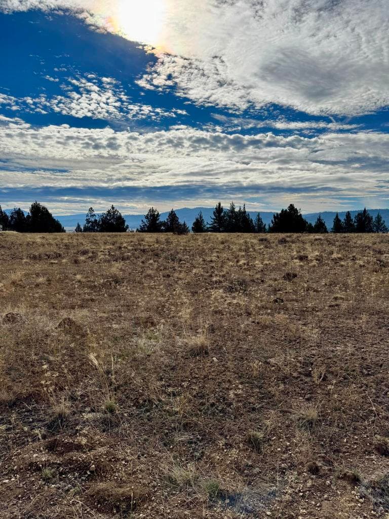 Lot 89 Rim