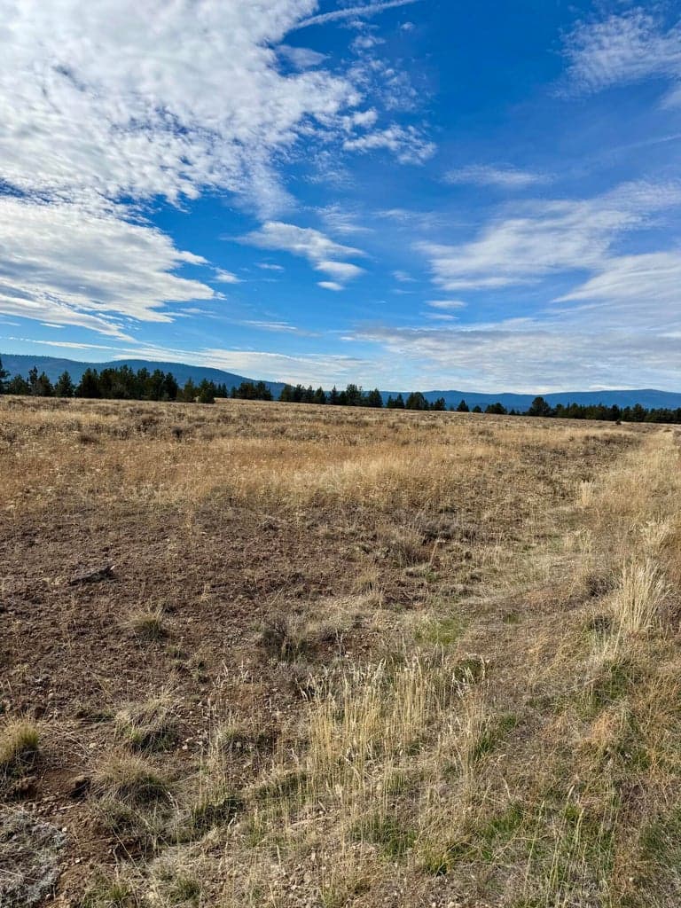 Photo of Lot 89 Rim 2 of 6