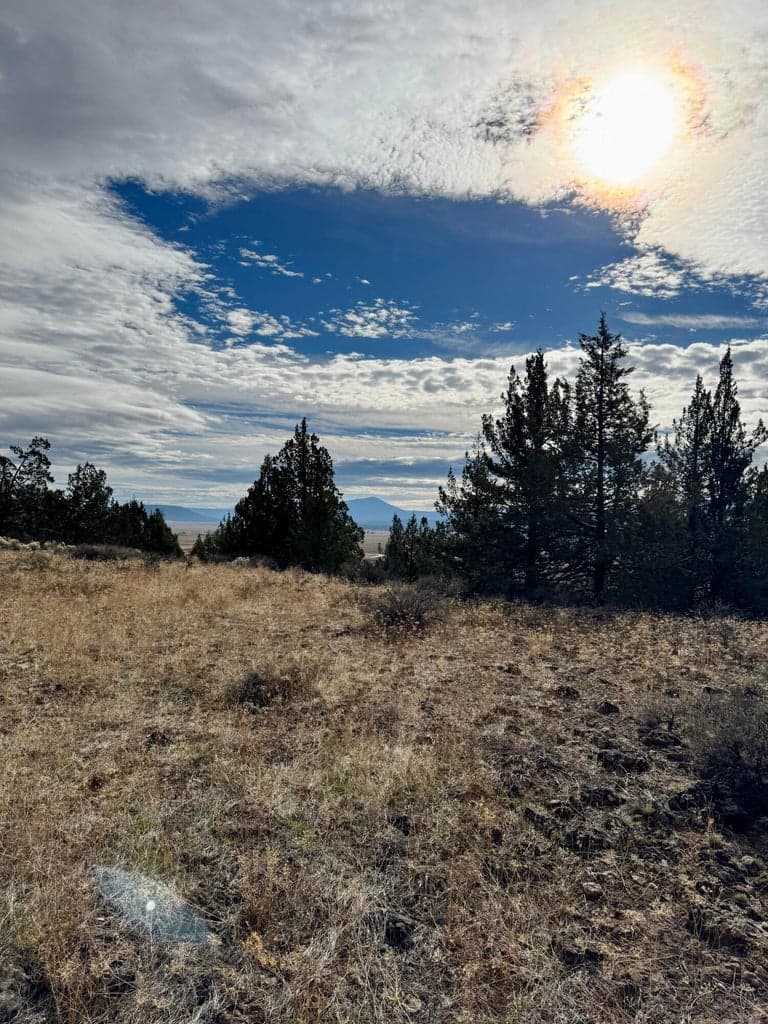 Photo of Lot 89 Rim 4 of 6