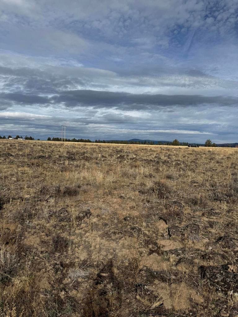 Photo of Lot 89 Rim 5 of 6