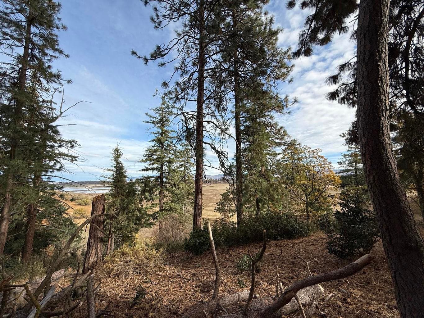 Taken from back of lot view toward Klamath and Crater Lake.
