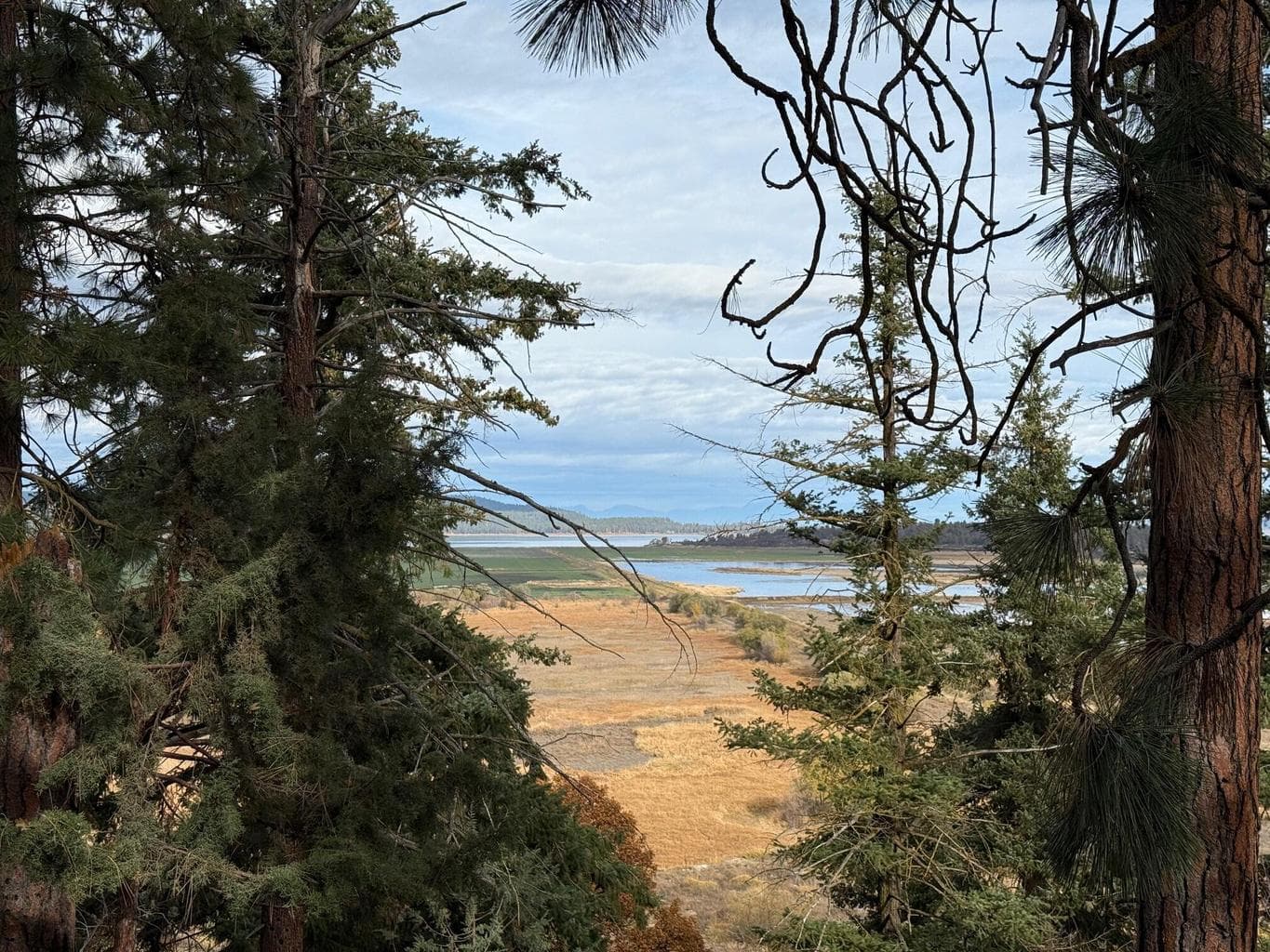 Taken from back of lot view toward Klamath and Crater Lake.