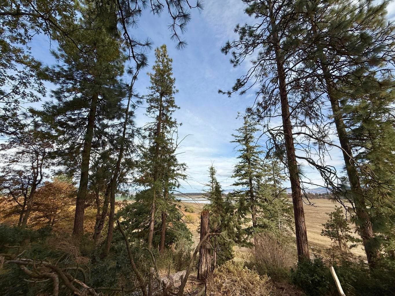 Taken from back of lot view toward Klamath and Crater Lake.