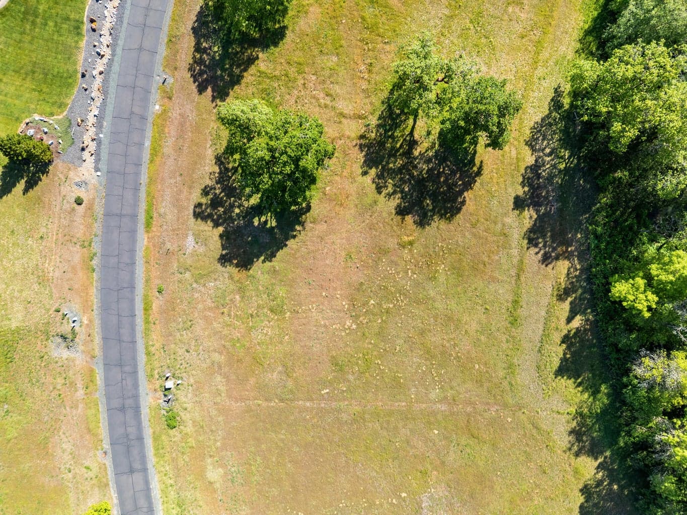 Photo of 561 Forks 5 of 7
