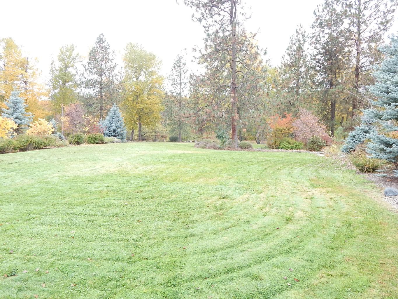330 Penny, Shady Cove, 97539
