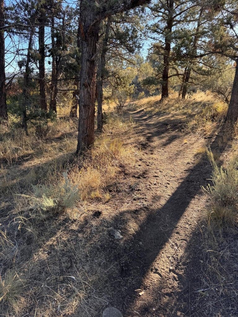 5 minute walk to the Deschutes River from this home.