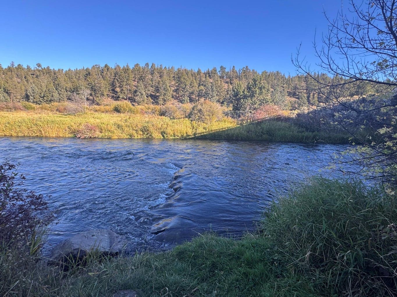 Public access to river and trail system only 5 minutes away!