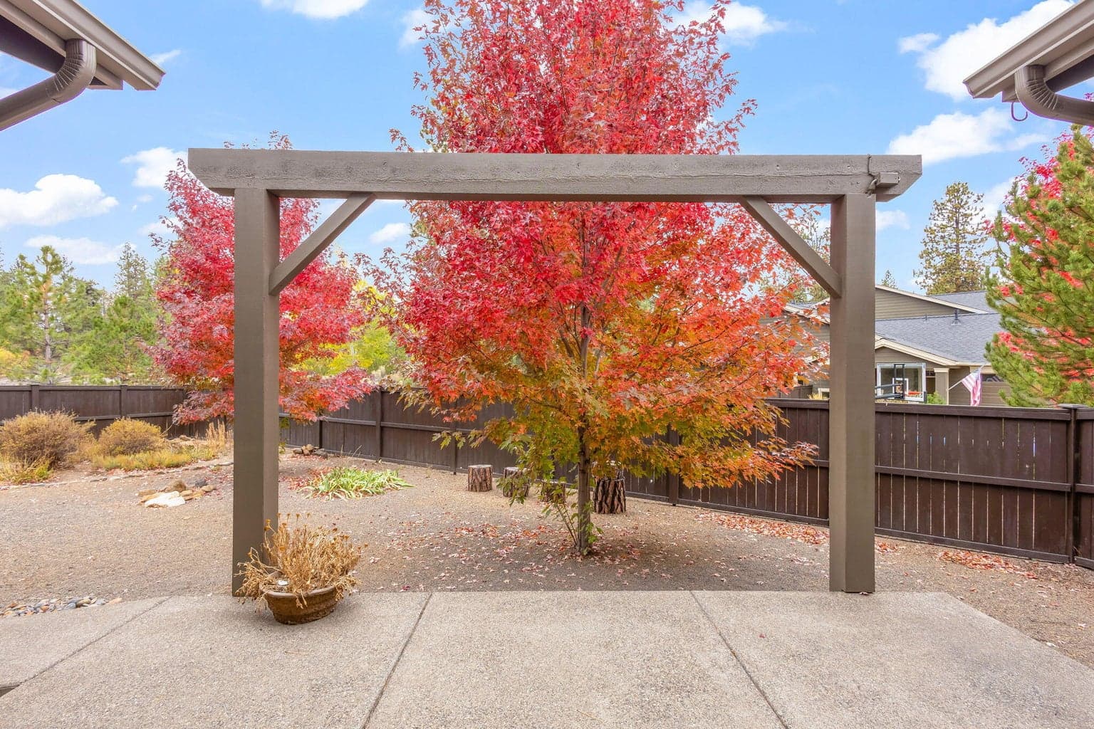 Gorgeous Trees!