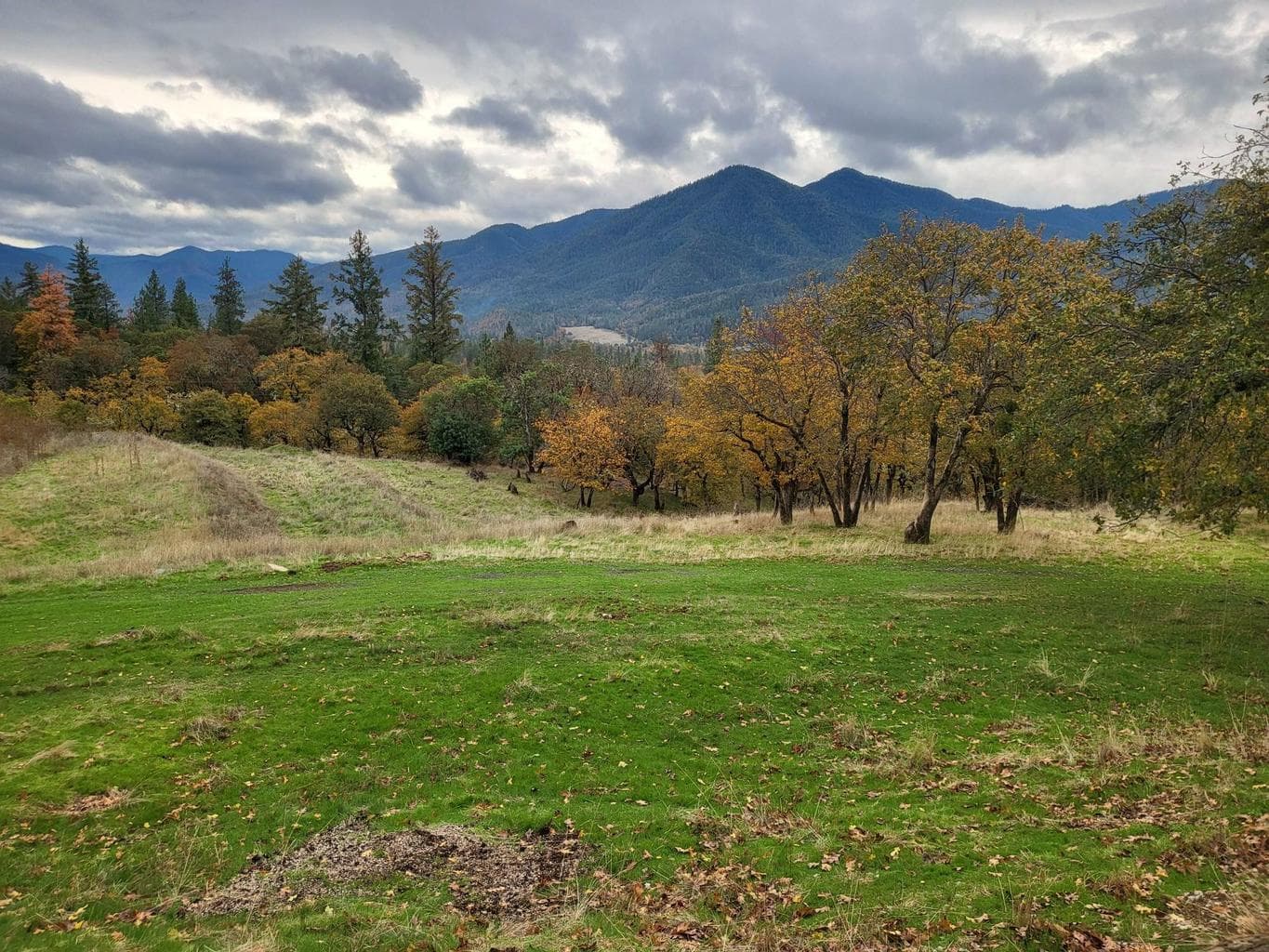 Photo of 1652 China Gulch 5 of 67