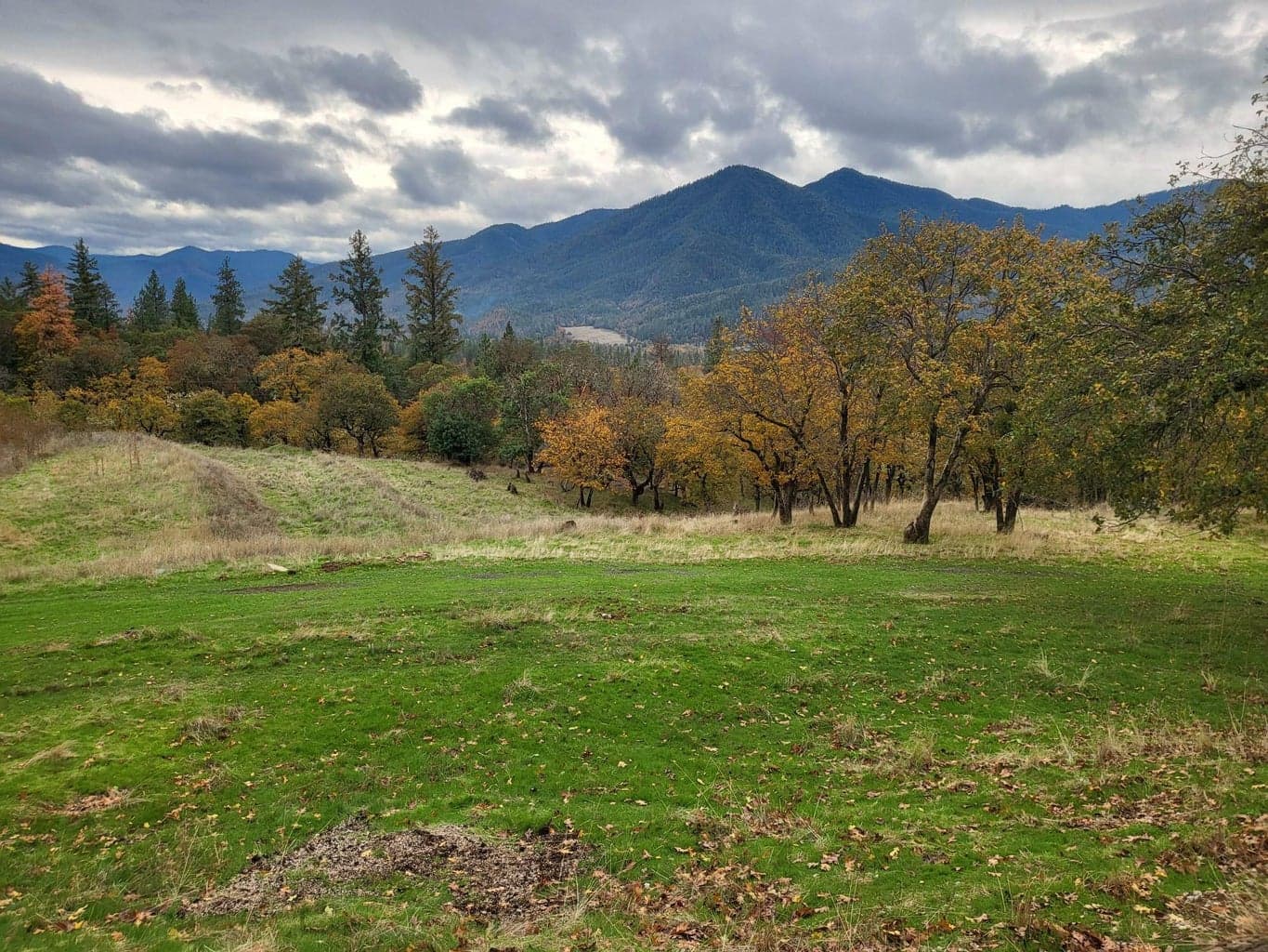 Photo of 1652 China Gulch 4 of 63
