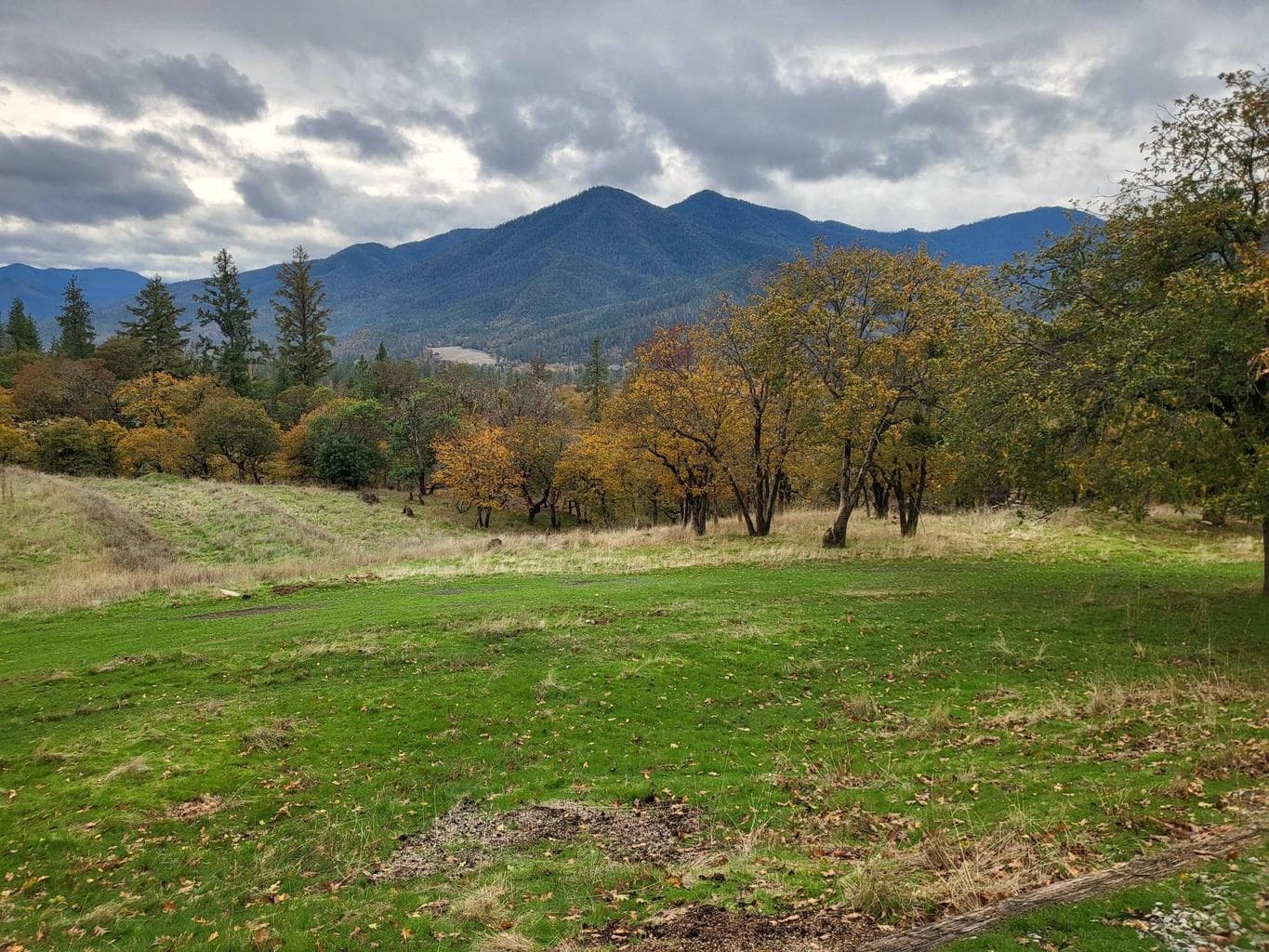 Photo of 1652 China Gulch 5 of 63