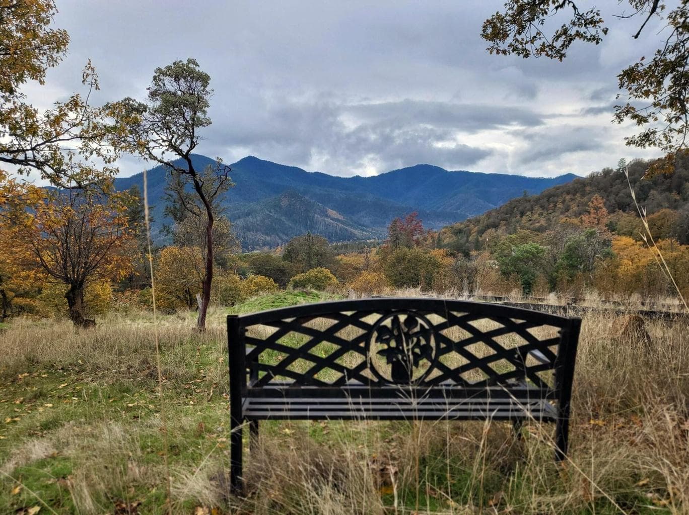 Photo of 1652 China Gulch 1 of 63