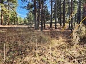 Pine Ridge, Chiloquin, 97624