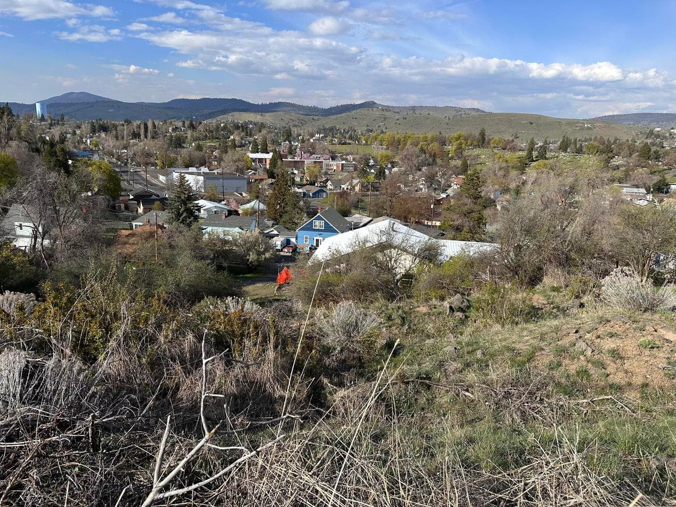 Photo of Lot 4 & 5 Roosevelt 2 of 11