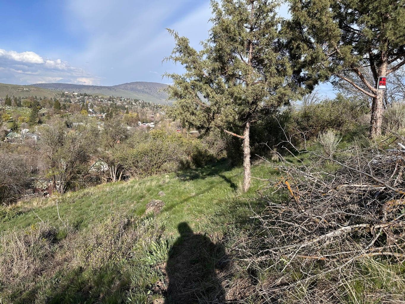Photo of Lot 4 & 5 Roosevelt 5 of 11
