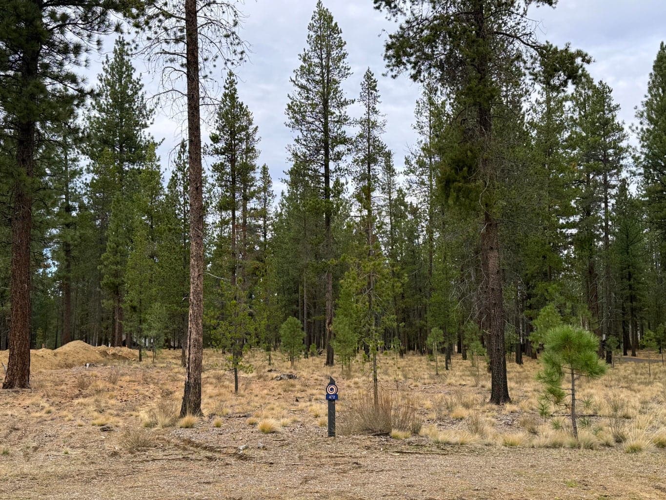 Build your dream home on this .42 acre homesite in the gated community of Caldera Springs!