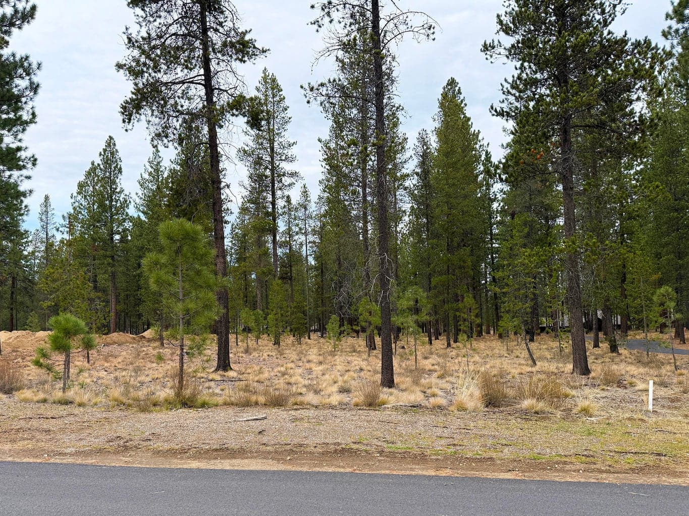Ample space for constructing a custom residence in a serene and private environment.