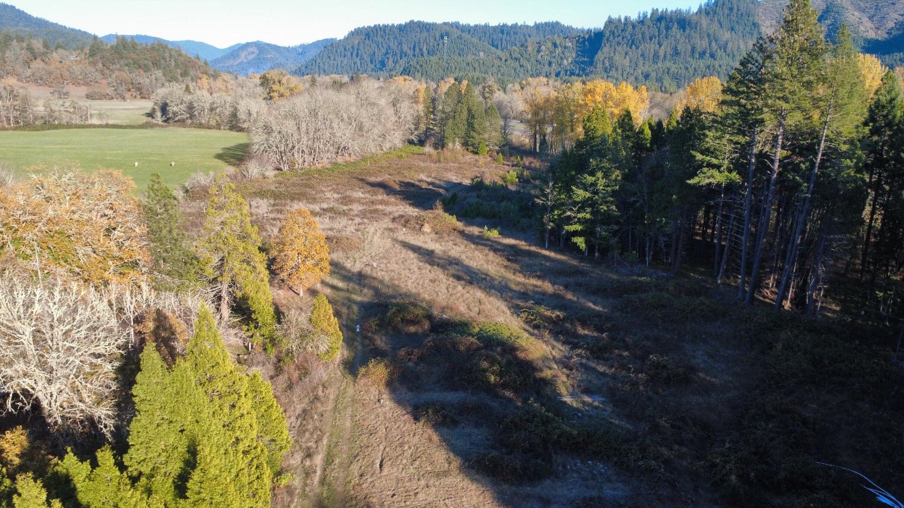Photo of 188 Pisqually 5 of 19