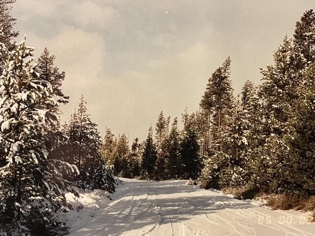 Photo of 4800 Bear Flat (NF 86) 3 of 8