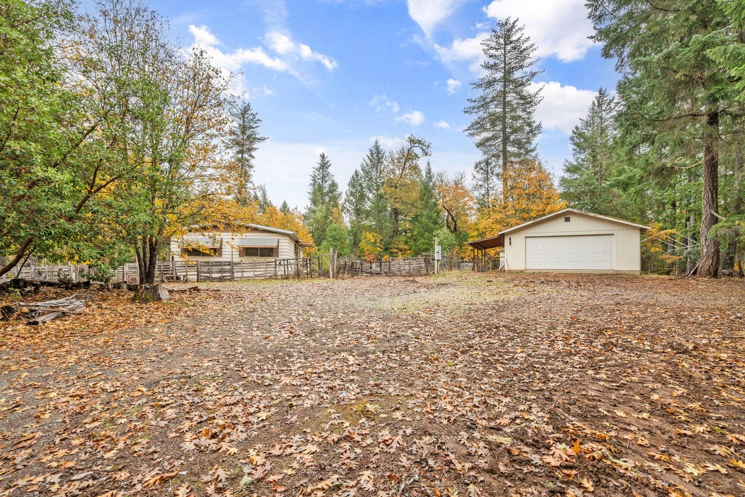 19493 Redwood, Selma, 97538