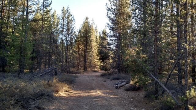 Photo of 4800 Bear Flat (NF 86) 1 of 8