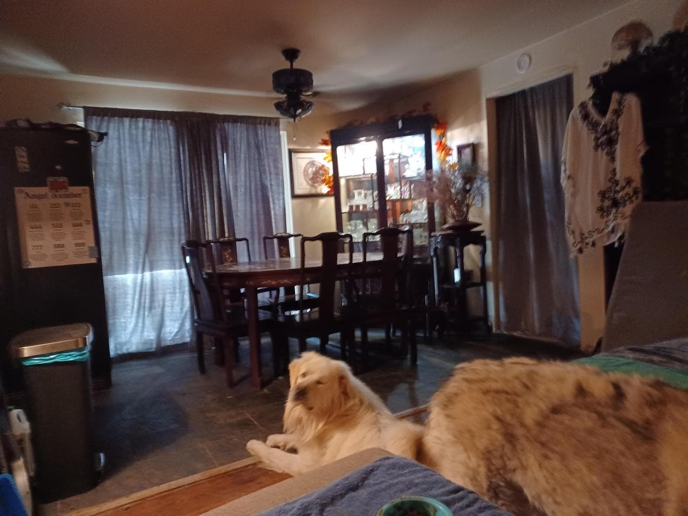 open from living room into dining room