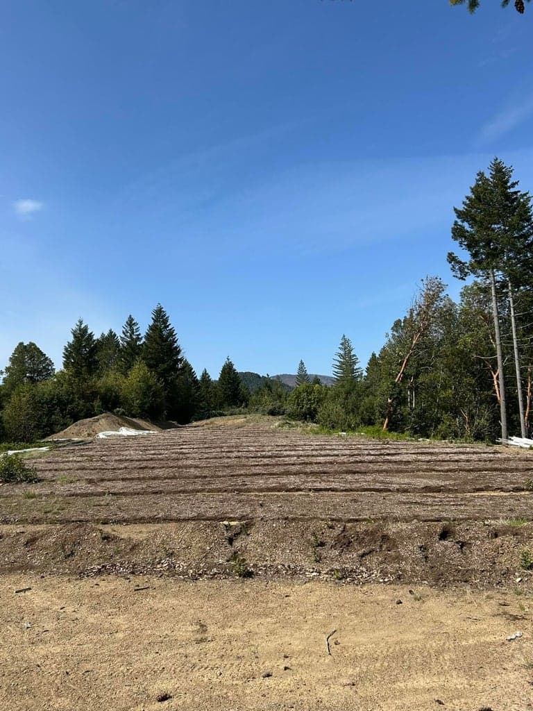 Photo of 0 Redwood 1 of 3