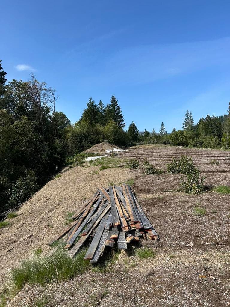 Photo of 0 Redwood 3 of 3